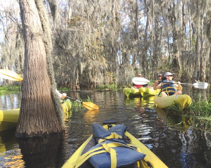 Lake Louisa State Park