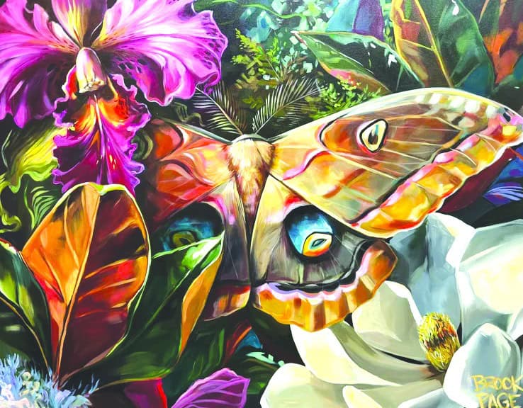Brook Page painting of a moth on a magnolia