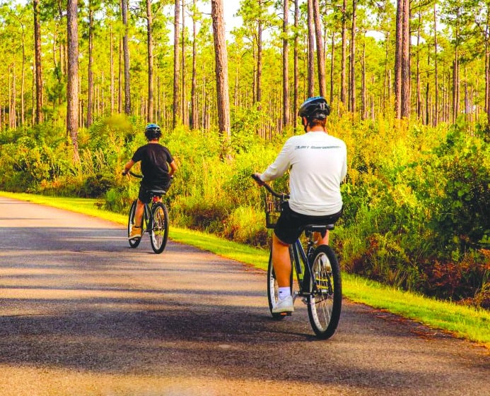 Two cyclists ride a paved trail through the pines near the Okefenokee